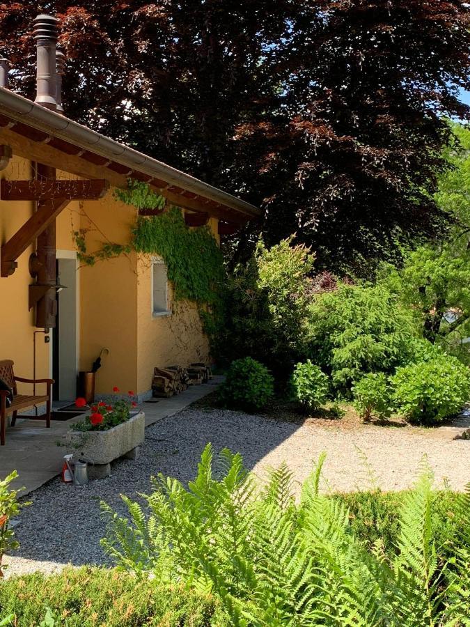 The Comfortable House With Big Pool In The Center Of Mergozzo Exterior foto