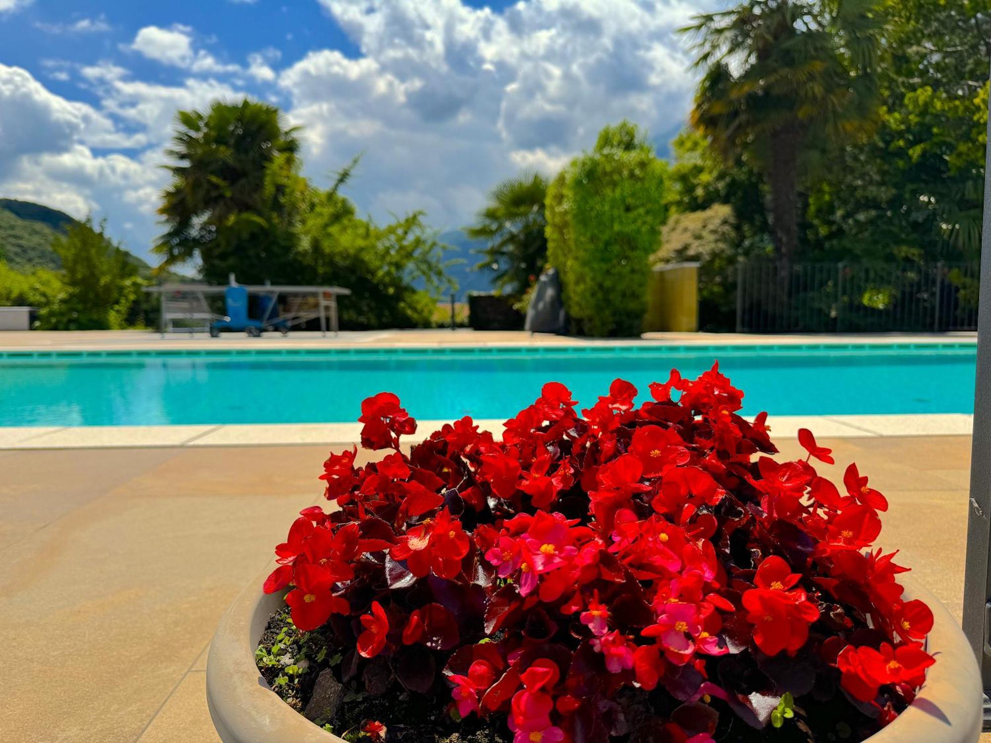 The Comfortable House With Big Pool In The Center Of Mergozzo Exterior foto